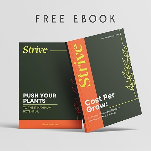 Strive Fertilizer Starter Kit Combo - Veg + Bloom General Hydroponic Nutrients - Indoor, Outdoor and Soil Growing Plant Food - Booster for Vegetables, Succulents, Flowers