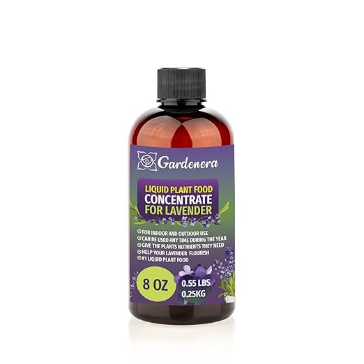 Plant Growth Superfood for Lavender with 18 Essential Vitamins & Minerals - Organic Plant Food Fertilizer - Micro-Fungi and Bio-Organisms for Lavender Plant Care & Growth Enhancement - 8oz