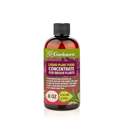 Plant Growth Superfood for Indoor Plants with 18 Key Vitamins & Minerals - Organic Plant Food Fertilizer - Micro-Fungi and Bio-Organisms for Indoor Plant Care & Growth Enhancement - 8oz