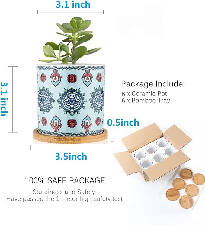 Succulent Plant Pots - 3.1 inch Ceramic Succulent Planter -Cylinder Flower Pots for Cactus with Drainage Hole and Bamboo Tray, 6 Pack、Plants not Included (Multicolor2)
