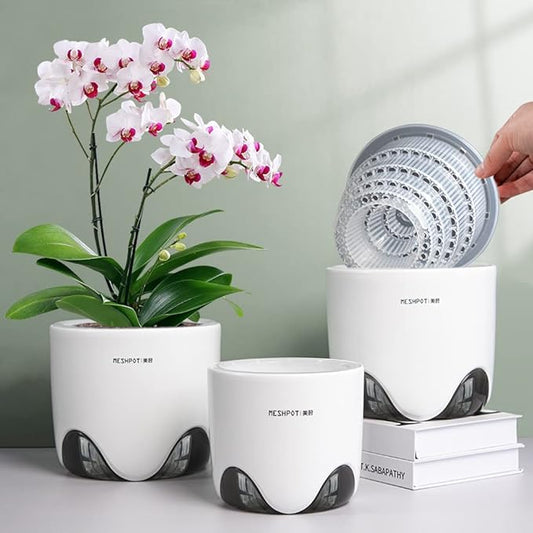 6 inch Orchid Pots with Holes,Set of 1,Double Layer Plastic Imitate Ceramic Orchid Planter Provide Good Air Circulation,Clear Orchid Pot Match Decorative Orchid Container