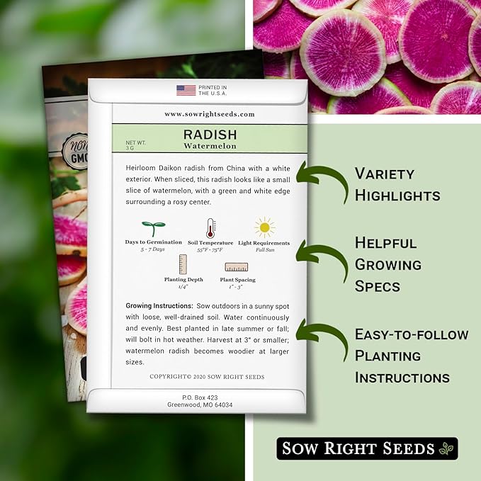 Sow Right Seeds - Watermelon Radish Seed for Planting - Non-GMO Heirloom Packet with Instructions to Plant a Home Vegetable Garden - Unique & Rare Veggie, Watermelon-Like Coloring When Cut (3)