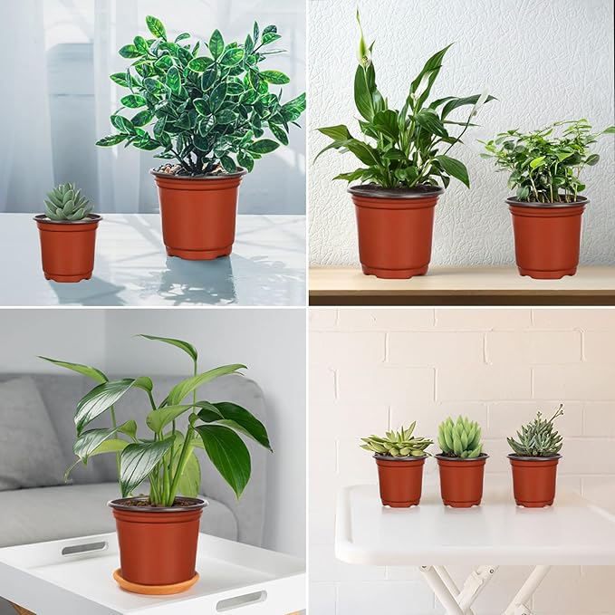Augshy Nursery Pot, 75 Pcs 4", 5", 6" Plastic Plant Nursery Seed Starting Pots for Indoor Outdoor Succulent Seedling Cutting Transplanting