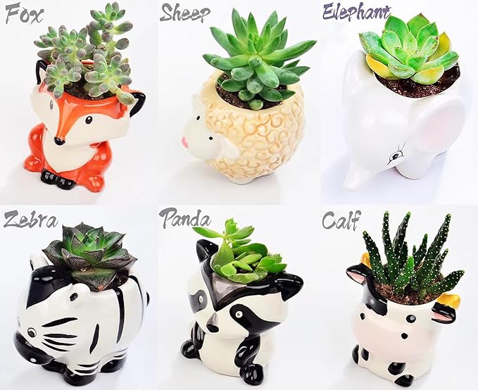 Melphoe 6Pcs Air Plant Holders Cartoon Shaped Small Succulent Pot Animal Planter Small Ceramic Pot Drainage for Mini Plant Cactus Flower, Tillandsia Air Fern, Display Stand Home, Office Desktop