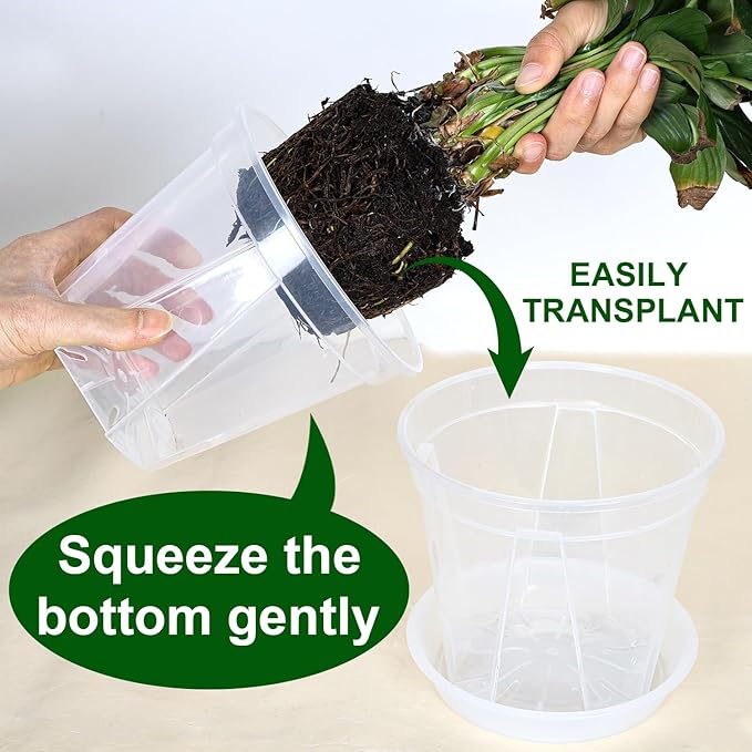12 Pack Clear Nursery Pots 4/5/6 Inch Clear Plastic Plant Pots with Drainage Holes Clear Planters Flower Pots for Indoor Plants