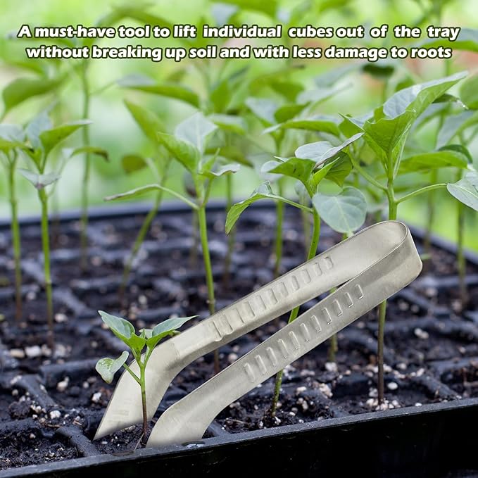 1PCS Seedling Transplant Tongs Stainless Steel Seedling Starters Remove Tongs Seedling Transplanting Tool Seedling Easy Transplanter with Anti-Slip Grasp Tips to Reduce Damage to Roots