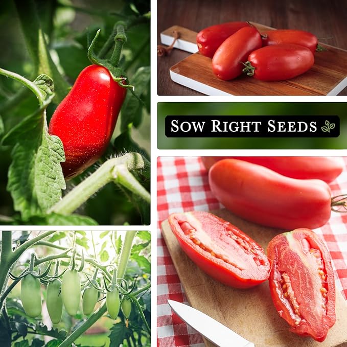 Sow Right Seeds - San Marzano Tomato Seeds for Planting - Non-GMO Heirloom Packet with Instructions to Plant a Home Vegetable Garden - Italian Classic Red Variety - Great for Sauce and Canning (3)