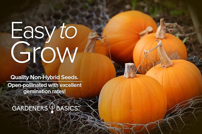 Mini Pumpkin Seeds for Planting (Jack Be Little) Small Heirloom, Non-GMO Vegetable Variety-5 Grams Seeds Great for Summer Pumpkin Gardens by Gardeners Basics