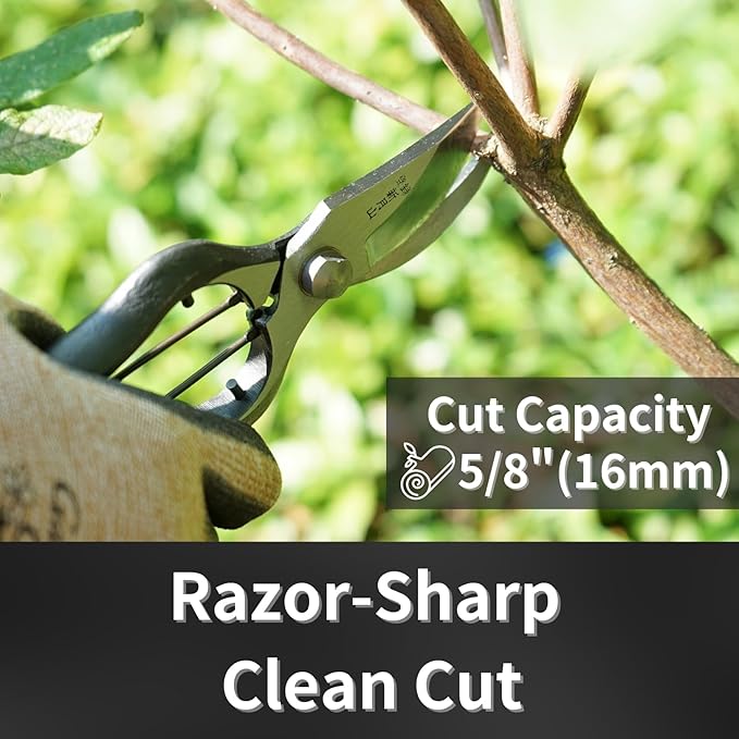 Japanese Pruning Shears for Gardening 8”, Professional Heavy Duty Bypass Pruners, Hand Forged Japanese Carbon Steel Blade, Spring Loaded Handle, Made in Japan