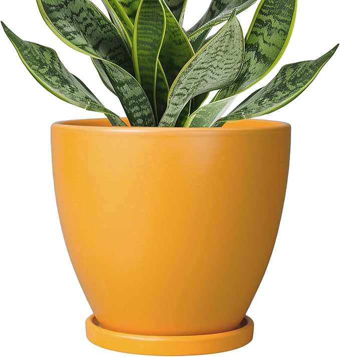 6 Inch Plant Pot - Ceramic Planter with Drainage Hole and Saucer, Modern Round Flower Pot, Planters for Indoor Plants, Home Garden Decor, Orange