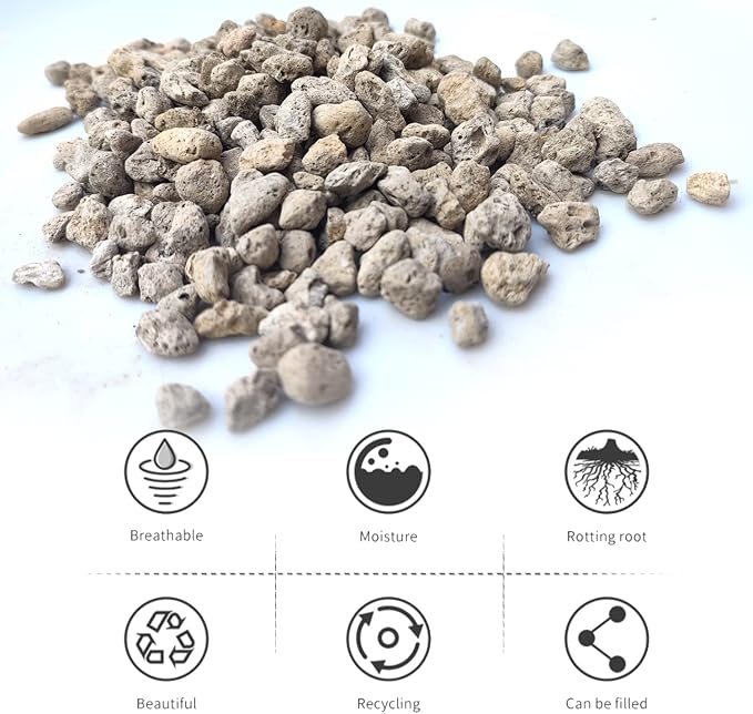 MDPQT Horticultural Pumice for Plants Professional Sifted (50 QT, 3/8 inch)