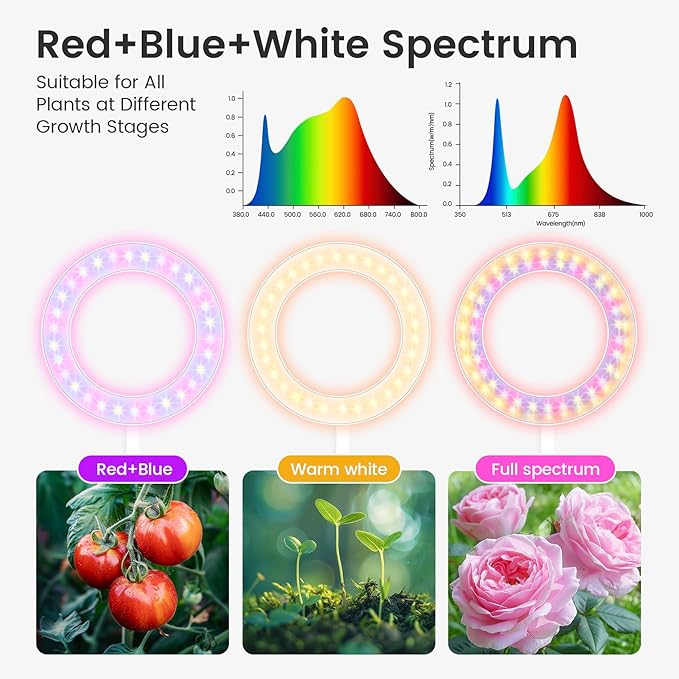 Grow Lights for Indoor Plants, Red Blue Yellow Full Spectrum Desktop Small LED Halo Plant Growing Lamps with Stand,Automatic Timer,24.2 inch Height Adjustable,10 Dimmable Levels,3 Lighting Modes,Mini