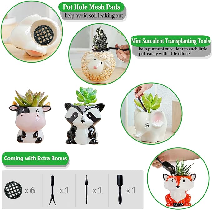 Melphoe 6Pcs Air Plant Holders Cartoon Shaped Small Succulent Pot Animal Planter Small Ceramic Pot Drainage for Mini Plant Cactus Flower, Tillandsia Air Fern, Display Stand Home, Office Desktop