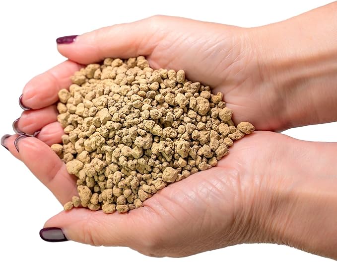 Japanese Hyuga Pumice - Premium Additive for Orchid & Bonsai Tree Soil |Professional Imported Sifted and Ready to Use (3 Quart Bag)