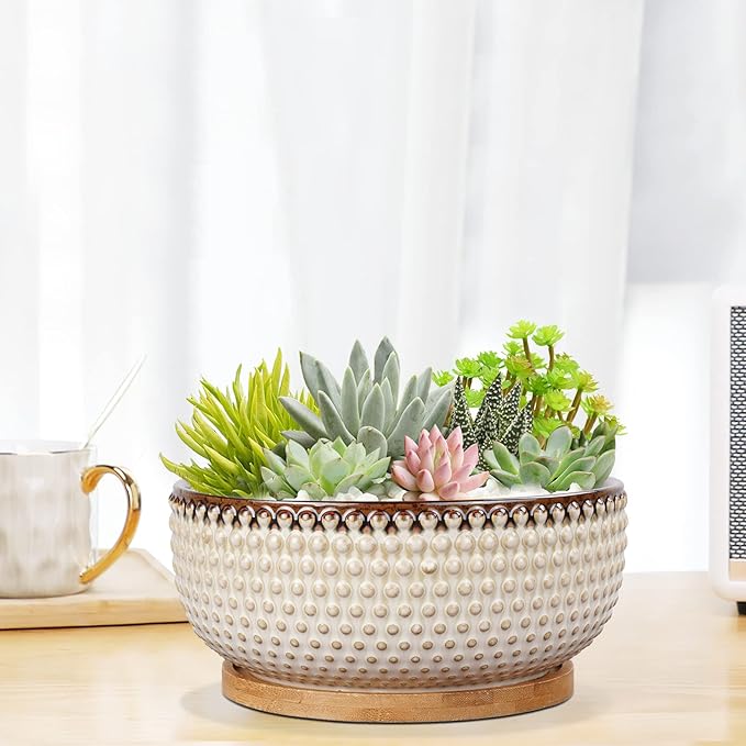 8 Inch Ceramic Succulent Shallow Planter Pot with Drainage Hole and Saucer Bonsai Planter for Indoor Plants White