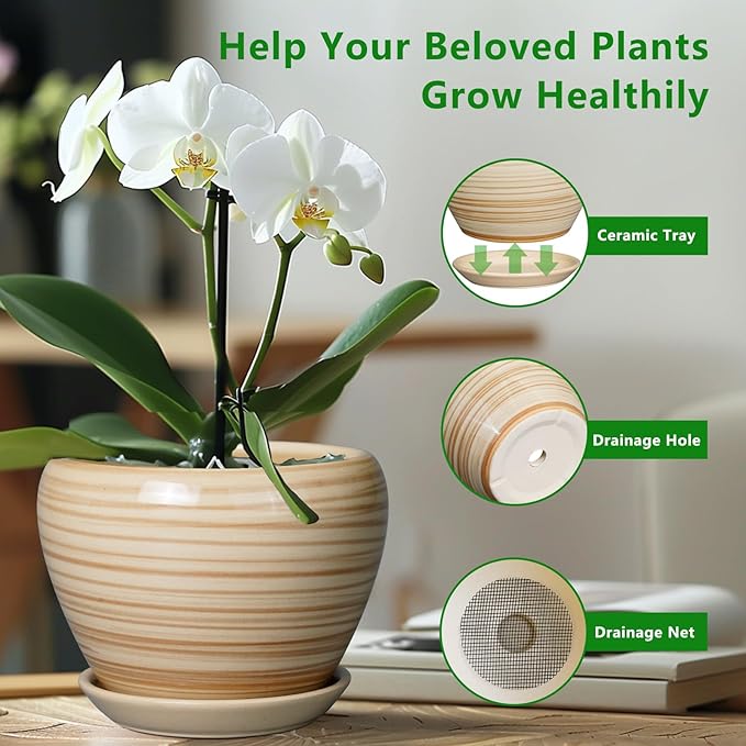 Planter Pot 8 Inch - Ceramic Pot for Plants Indoor Plant Pot with Drainage Hole and Saucer Round Planter Outdoor Modern Flower Pot Succulent Pot for House Patio Yellow