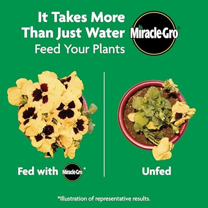 Miracle-Gro Shake 'N Feed Rose & Bloom Plant Food