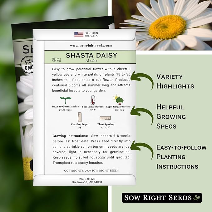 Sow Right Seeds - Shasta Daisy Flower Seeds for Planting - Non-GMO Heirloom Packet with Instructions - Attract Butterflies and Excellent for Cutting - White Blossom with Yellow Centers (2)