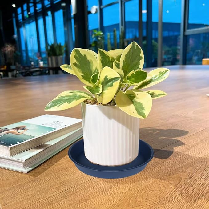 2 Pack of 14 inch Plant Saucers Bird Bath Bow Round, Plastic Plant Saucer Tray for Pots, White Planters for Indoor Plants, Plant Trays for Planter 12-15" (14", Blue)
