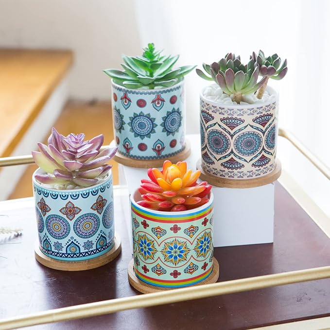 Succulent Plant Pots - 3.1 inch Ceramic Succulent Planter -Cylinder Flower Pots for Cactus with Drainage Hole and Bamboo Tray, 6 Pack、Plants not Included (Multicolor2)