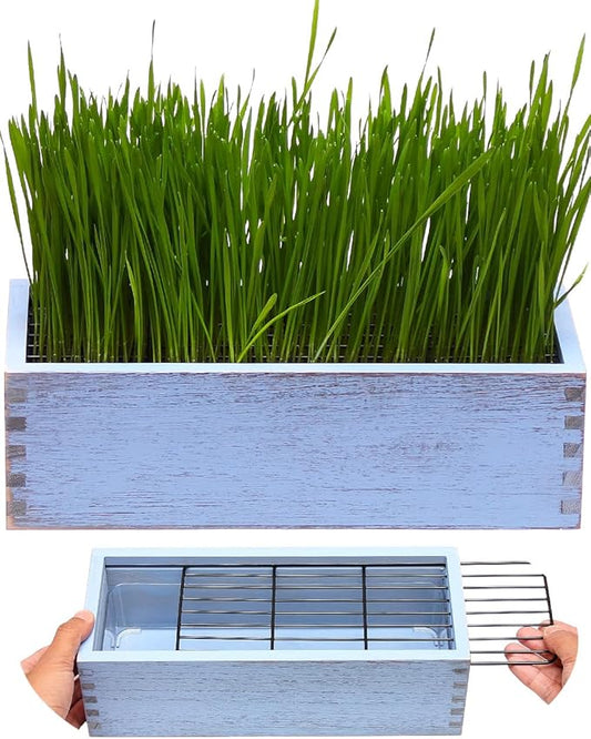 Wooden Cat Grass Planter (no Seeds Included) with Potting Soil Disks, Anti-Digging Grid and Removable Plastic Liner, Wheat Grass Growing Pot, Cat Grass Kit for Indoor Cats Pets (Amber Blue)