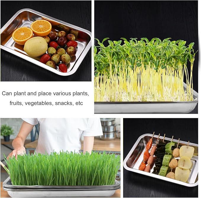 Stainless Metal Trays, Stainless Steel Seed Starter Carry Tray for Nursery Seedling Pots Water Collection Transplantation (10.63 inch×14.17 inch, 1.18" Height, 10-Pack)
