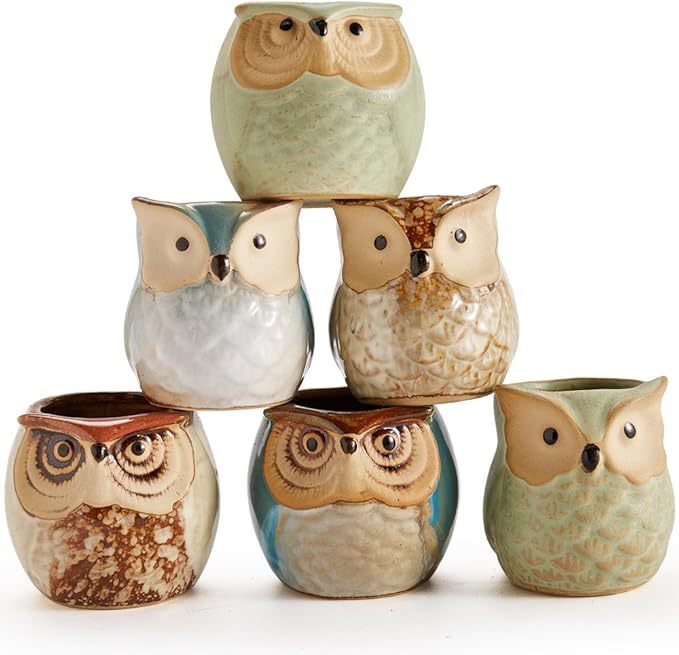 SUN-E SE Owl Pot Ceramic Flowing Glaze Base Serial Set Succulent Plant Pot Cactus Plant Pot Flower Pot Container Planter with Drainage Hole Home Office Desk Garden Gift Idea 6pcs 2.5 Inch