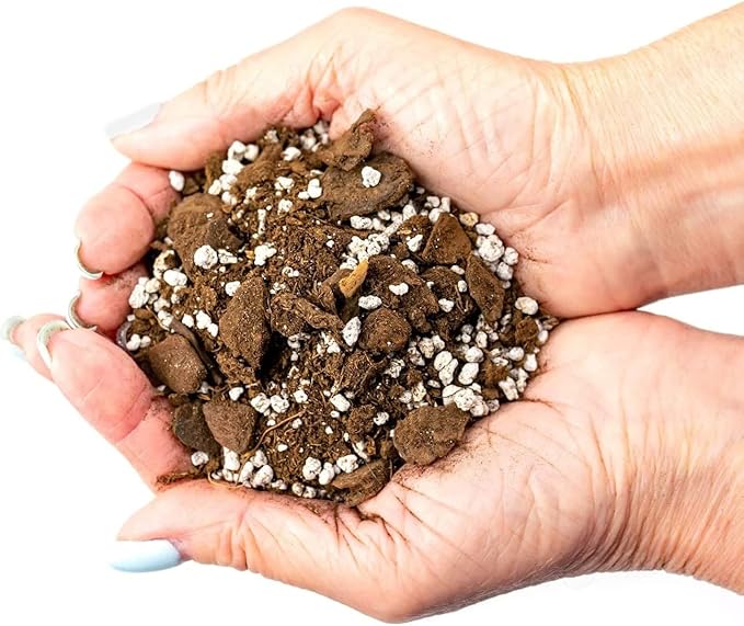 Palm Tree Potting Mix - The Ultimate Soil for Strong and Healthy Palms - Top Choice for Palm Tree Growers [1 Quart Bag]