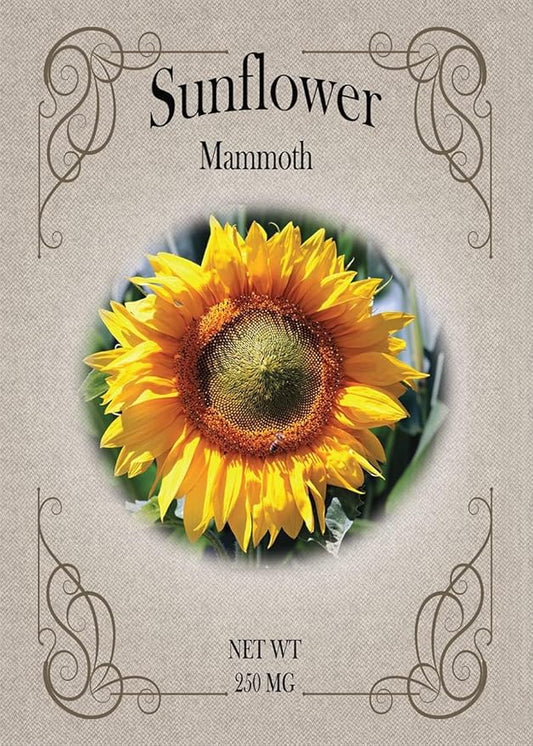 Black Duck Brand Set of Flower Seed Packets! Flower Seeds in Bulk - Great for Creating The Garden of Your Dreams! (200, Mammoth Sunflower)