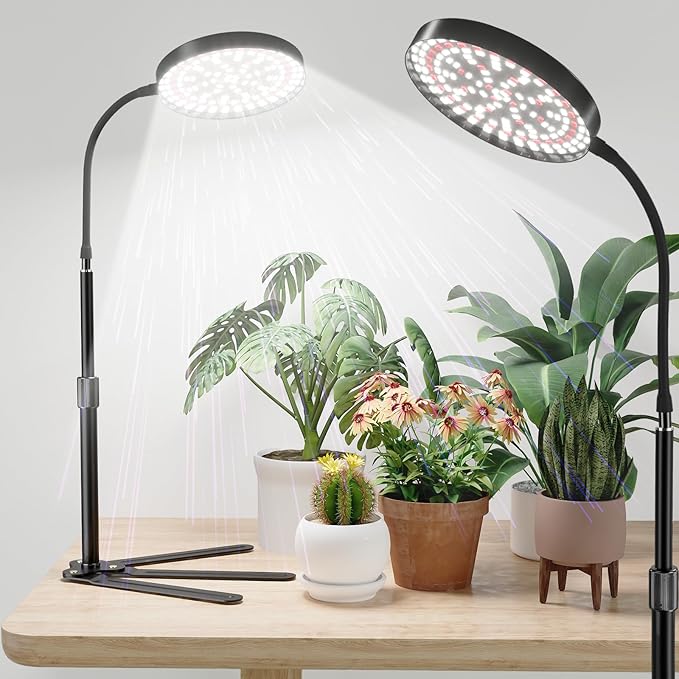 Super-Bright Grow Light 100W, 6000K 216LEDs White Full Spectrum Plant Growing Lamp for Home Office Indoor Plants,Adjustable Height & Auto Timer 4 8 12Hrs, 12V 3A High Power Output for Faster Growth