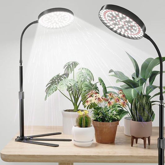 Super-Bright Grow Light 100W, 6000K 216LEDs White Full Spectrum Plant Growing Lamp for Home Office Indoor Plants,Adjustable Height & Auto Timer 4 8 12Hrs, 12V 3A High Power Output for Faster Growth