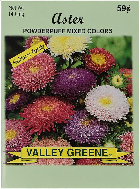 Set of Flower Seed Packets! Flower Seeds in Bulk - Great for Creating The Garden of Your Dreams! (50, Aster - Powderpuff Mix)