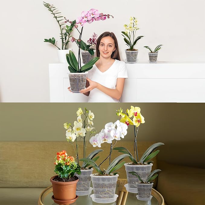 12 Pack Orchid Pot with Saucers, 4 Each of 4.5in, 5.5in and 6.3in Orchid Pots for Repotting, Clear Orchid Pots with Holes, Plastic Flower Plant Pot