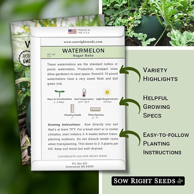 Sow Right Seeds - Sugar Baby Watermelon Seed for Planting - Non-GMO Heirloom Packet with Instructions to Plant a Home Vegetable Garden - Medium Sized with Dark Rind and Super Sweet Flesh (2)