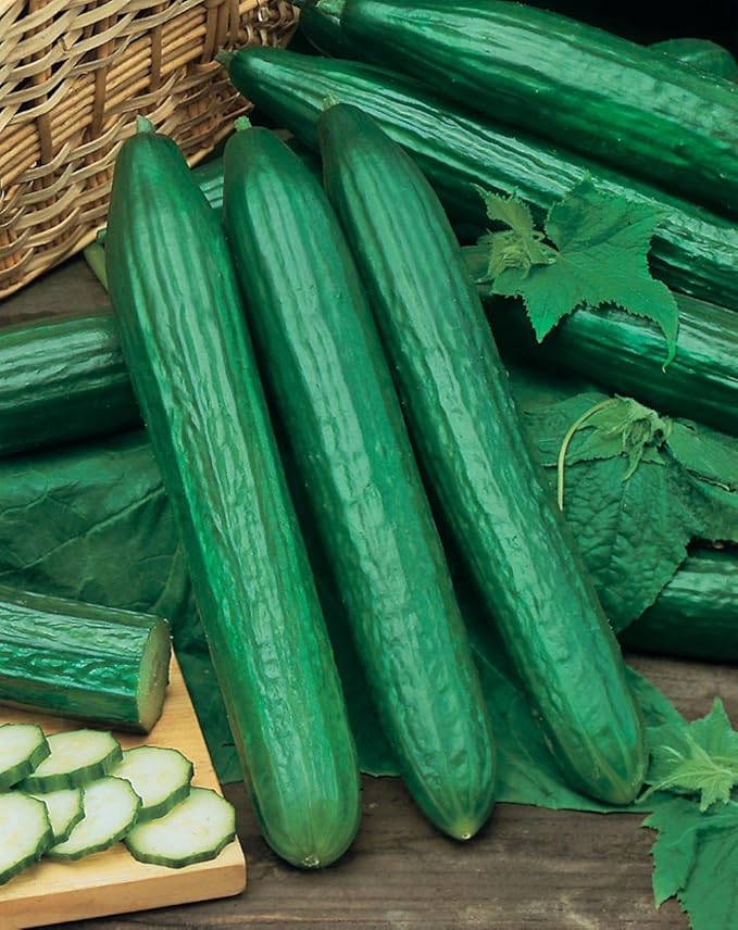 Seeds Cucumber Chinese Miracle Long Heirloom Vegetable Non GMO (20 Seeds)