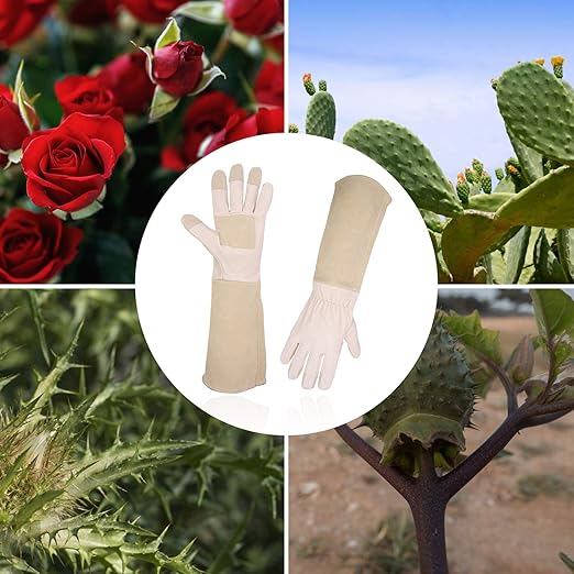 HLDD HANDLANDY Long Sleeve Leather Gardening Gloves,Puncture resistant,Breathable Pigskin Leather Gauntlet,Rose Pruning Floral Gauntlet Garden Gloves For Women and Men (Medium, Beige)