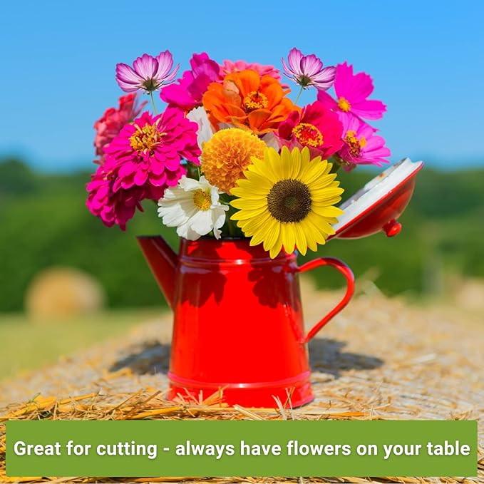 Sow Right Seeds - Annual Flower Seed Garden Collection for Planting - 5 Packets Includes Marigold, Zinnia, China Aster, Sunflower, and Cosmos - Grow in Pots or Outside, Raised Beds - Variety Pack