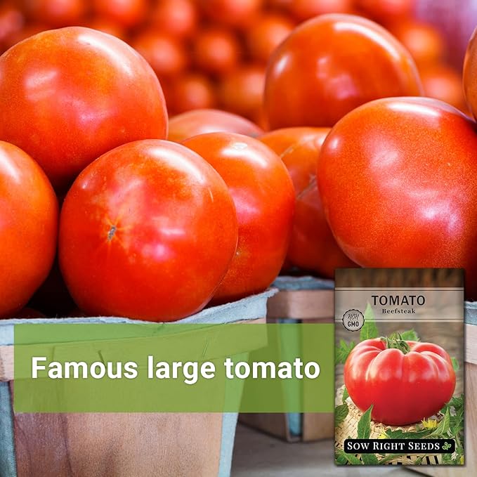 Sow Right Seeds - Beefsteak Tomato Seeds for Planting - Non-GMO Heirloom Packet with Instructions to Plant a Home Vegetable Garden - Indeterminate, Super Large and Bright Red Fruits (3)
