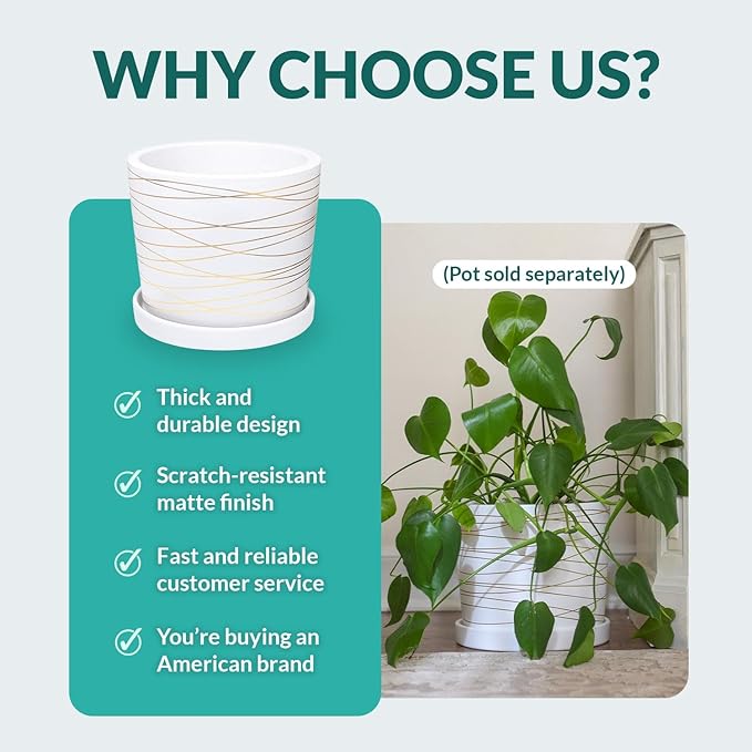 Willowy 12 inch Matte White Ceramic Plant Saucer (2 Pack) - Plant Drip Trays for 9-12 Inch Planters-Plant Saucers for Indoors-Plant Trays for Pots-Plant Pot Saucers-Plant Water Tray-Plant Dish Saucer