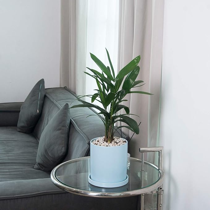 Planters for Indoor Plants Ceramic Flower Succulent Plant Pots with Drain Hole Saucer Decor for Home Office (5 inch Blue)