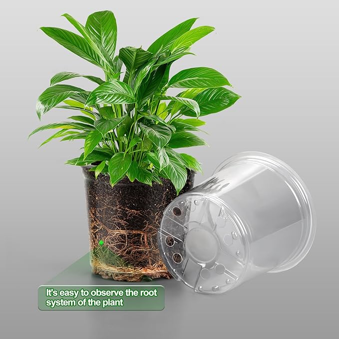 36 Pack 7/6/5/3.5 Inch Clear Nursery Pots Variety Pack, Clear Plastic Nursery Pot for Plants, Durable Seed Starting Pot with Drainage Holes, Flexible Transparent Pot