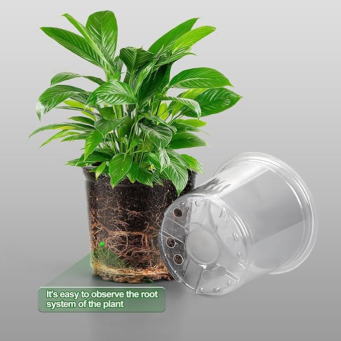 100 Pack 3 Inch Clear Nursery Pots Variety Pack, Clear Plastic Nursery Pot for Plants, Durable Seed Starting Pot with Drainage Holes, Flexible Transparent Pot