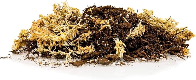 Premium Orchid Mix by GARDENERA | Fern + New Zealand Pine Bark + Sphagnum Moss + Perlite | Best for Growing and Repotting Orchids - 1 Quart Bag