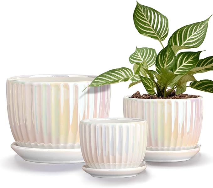 Ton Sin White Plant Pots,Pearl Gold Ceramic Flower Pots 4"+5"+6" Inch Indoor Succulent Pot with Drainage Hole - Decorative Orchid Pots and Herb Pots Set of 3