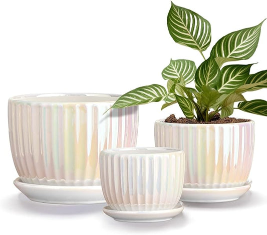 Ton Sin White Plant Pots,Pearl Gold Ceramic Flower Pots 4"+5"+6" Inch Indoor Succulent Pot with Drainage Hole - Decorative Orchid Pots and Herb Pots Set of 3