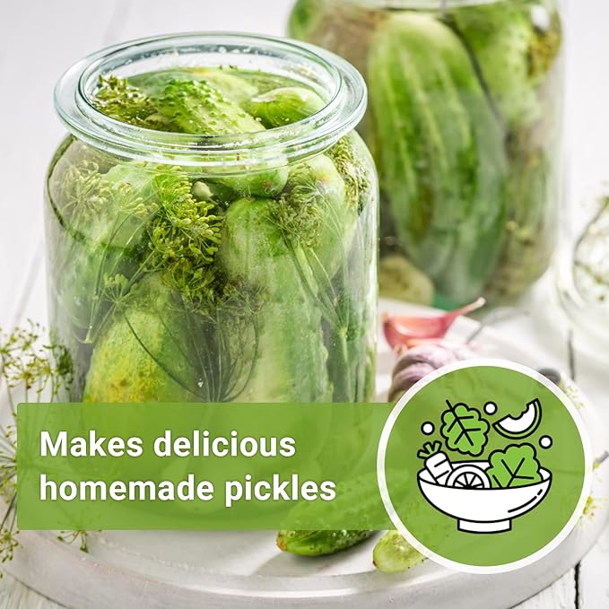 Sow Right Seeds - National Pickling Cucumber Seeds for Planting - Non-GMO Heirloom Packet with Instructions to Plant and Grow a Home Vegetable Garden - Famous Variety for Homemade Pickles (4)