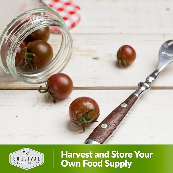 Black Cherry Tomato Seed for Planting - 5 Packets with Instructions to Plant & Grow Reddish-Purple Cherry Tomatoes in Your Home Vegetable Garden - Non-GMO Heirloom Variety - Survival Garden Seeds