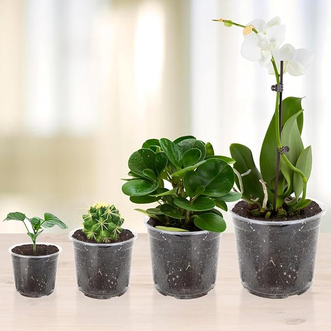 100 Pack 3 Inch Clear Nursery Pots Variety Pack, Clear Plastic Nursery Pot for Plants, Durable Seed Starting Pot with Drainage Holes, Flexible Transparent Pot