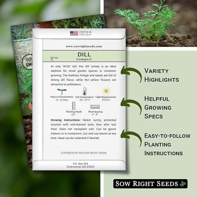 Sow Right Seeds - Compact Dill Seeds for Planting - Non-GMO Heirloom Packet with Instructions to Grow an Outdoor or Indoor Herb Garden - Great for Pickling - The Perfect Patio & Container Size (1)