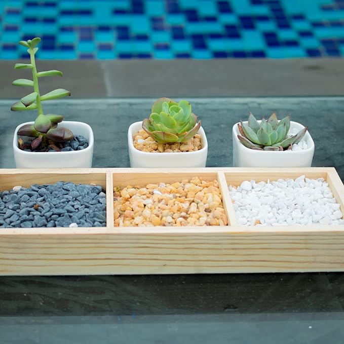 Anothera 7LB Succulent and Cactus Bonsai DIY Rocks, White Onyx, Gravel for Terrarium, Fairy Gardening, Top Dressing,（6mm-8mm）